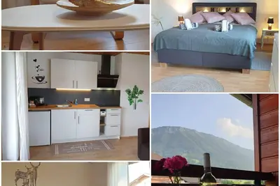 Falkenstein - Guesthouse Gomilar