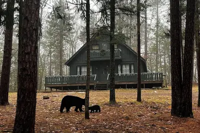 Image de Charming cabin in woods surrounded by Huron National Forest, Roscommon