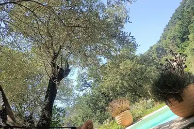 Image de Le cabanon du Bien-Etre (meublé classé 3*)