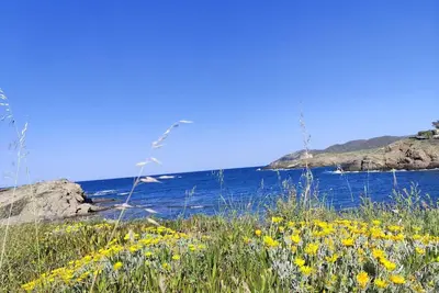 Image de Apartment with large terrace facing the sea, to see the sunrise every morning.