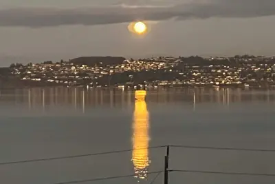 Image de Spectacular views! Cozy 1-bed\/1-Bath Apartment with WiFi & Ac in charming Tacoma