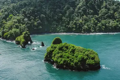 Image de Beautiful cabin in the beachfront, perfect to explore jungle and sea. Full relax