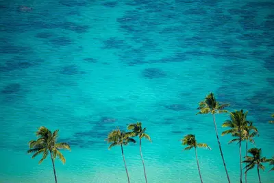 Image de Aloha Surf Condo - Private Yard - Turtle Bay