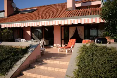 Image de Tartaruga, Isola di Albarella, Italy