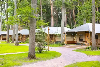 Image de Retraite Safari Lodge