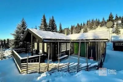 Image de Cozy spacious cabin with sauna at Natrudstilen