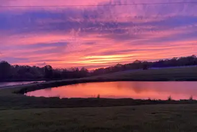 Image de Charming Lakefront Cottage in Kernersville - Relax with nature!