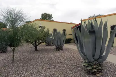 Southwest Serenity in Central Green Valley