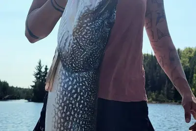 Image de Bay Wolf Camp is in Shining Tree, Ontario. Email or call us for more details.