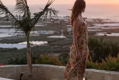 Image de New Falasarna Luxury Villas I Free car & two pools