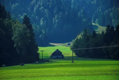 Image de Perfectly precise with a modern design in Beaverton