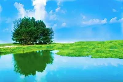 Image de You'll feel right at home with the conveniences you need