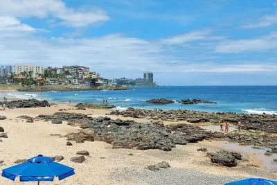 Image de Coond0100 - 10min from Rio Vermelho and the zoo