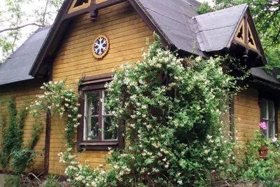 Image de Charming Swiss Retreat with Garden, 3 minutes from the lake