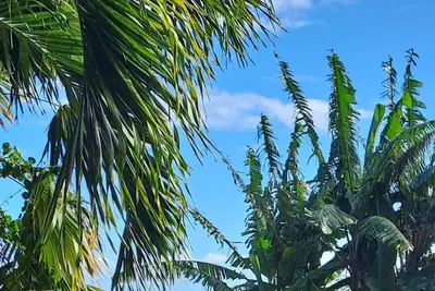 Image de Studio dans un jardin, à proximité de la mer