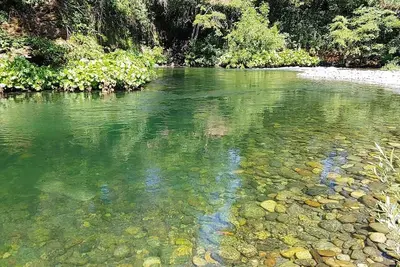 Image de Creekfront 3-bedroom house with WiFi, Ac in Happy Camp