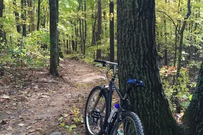 Image de Palma Lodge on the Bayfield Peninsula