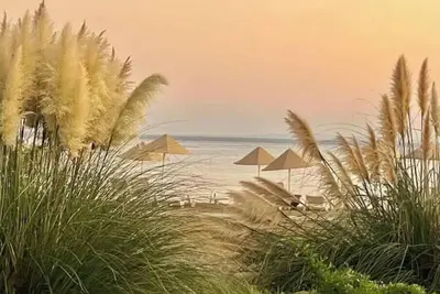 Image de Smart Olive Suite by the Sea