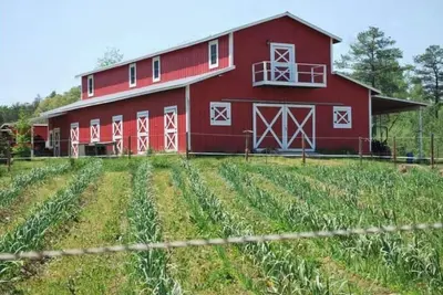 Image de Live the farm life!