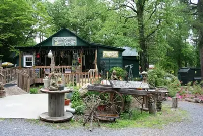 Image de Updated Brow View Cabin with Hot Tub/Fire Pit/Arcade in Mentone