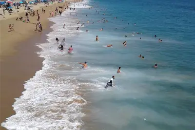 Image de Best Nw Central Beach City Spacious Bright Apt Near Everywhere For Longterm Rent