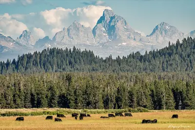 Image de Charming 2-bedroom home in Ashton near Yellowstone and Grand Teton Np.