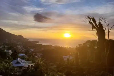 Image de Wild Vanilla Apartment