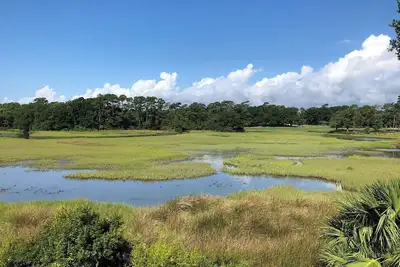 Image de Marshland Beach Paradise