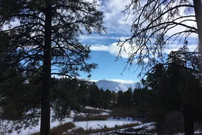 Image de Serene Cabin Retreat