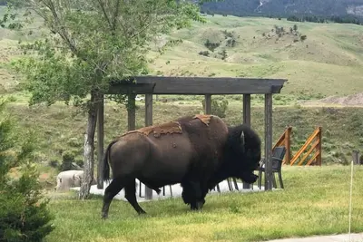 Image de Yellowstone Riverside 3 Bedrooms 2. 5 Bathroom Home with Panoramic Park Views