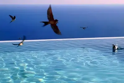 Image de Appartement 'Kaladi Rock' avec vue sur la mer, piscine partagée et Wi-Fi