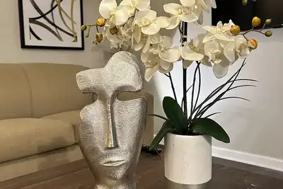 Image de Charming 3-bedroom house with Ac and WiFi in lovely Thomasville