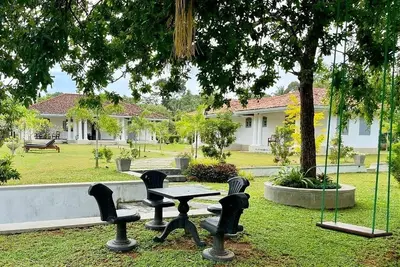 Image de Privet Bungalow Oak Tree
