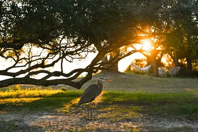 Image de Peaceful Waterfront Cottage