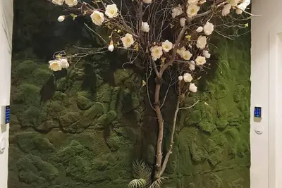 Image de Spring 2nd Esq