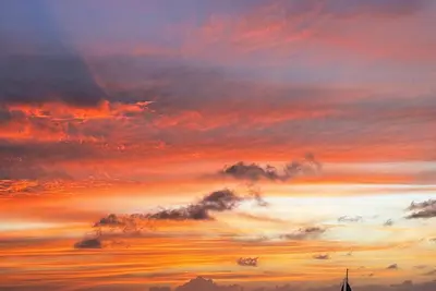 Image de Stylish Apartment in Palm Beach