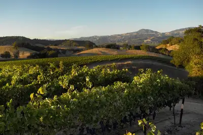 Image de Stunning Sonoma 3br, 3ba house w/view, lap pool, hot tub, Tesla chgr, Healdsburg