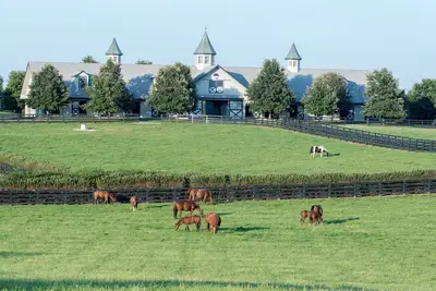 Image de New Garden, Modern, Horse Farms, Bourbon, Downtown Lux, Fully Loaded