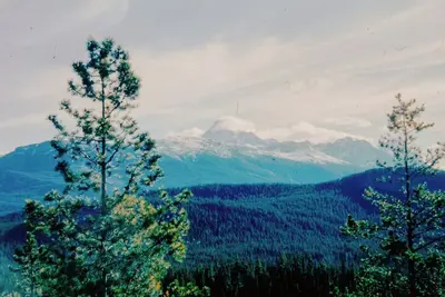 Image de Explore Campbell's newest extended stay