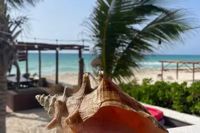 Image de Beachfront 3 Bdrs. Sleeps 7, Staff on site, Chef, kayaks, private beach