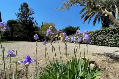 Image de Charmant Appartement de 100m2 dans maison de caractère au bord du canal du midi