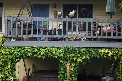 Image de Charming 2-bedroom farmhouse in brilliant Jupiter with Ac, WiFi, Hot tub,