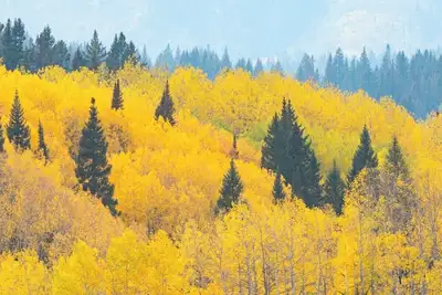 Image de Stay in Style at our Hotel in Cupertino, Ca