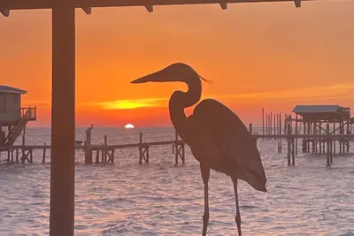 Image de Write on the Bay