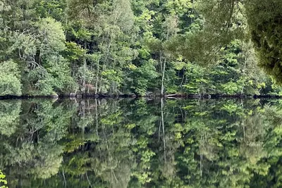 Image de Cozy vacation home with a view of the water and forest. Pet friendly.