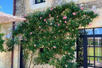 Image de Evasion de luxe - Proche de Lectoure