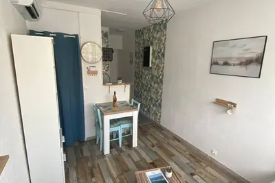 Studio 117  Cure au bord de l'étang de thau 2*