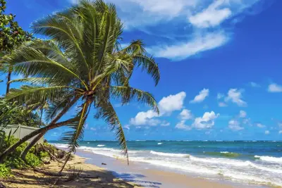 Image de Island Escape - Pool, Ac