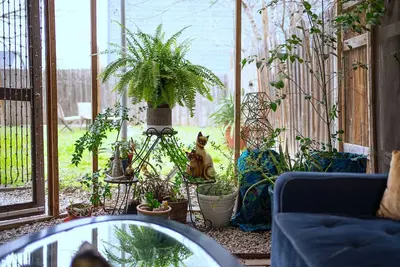 Image de Peacock on Austin's Fresh Eastside Convenient to Downtown via E 12th St