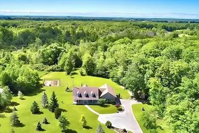 Image de Cozy Hidden Forest Haven